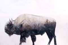 0ac056e2-3fef-4a42-ae87-46595cec17d4_rw_1200