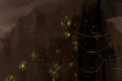 660686a7-6499-44b5-85da-76b0428e6c02_rw_1920