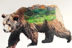 aa4dab98-61af-494c-88c0-7fb5e0ad78f2_rw_1200