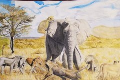 b7701dea-bd09-4d5a-8123-3f9c2c46e37a_rw_1920