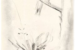 bb69bfdf-d230-4433-aa7f-aa2289e0d999_rw_1200